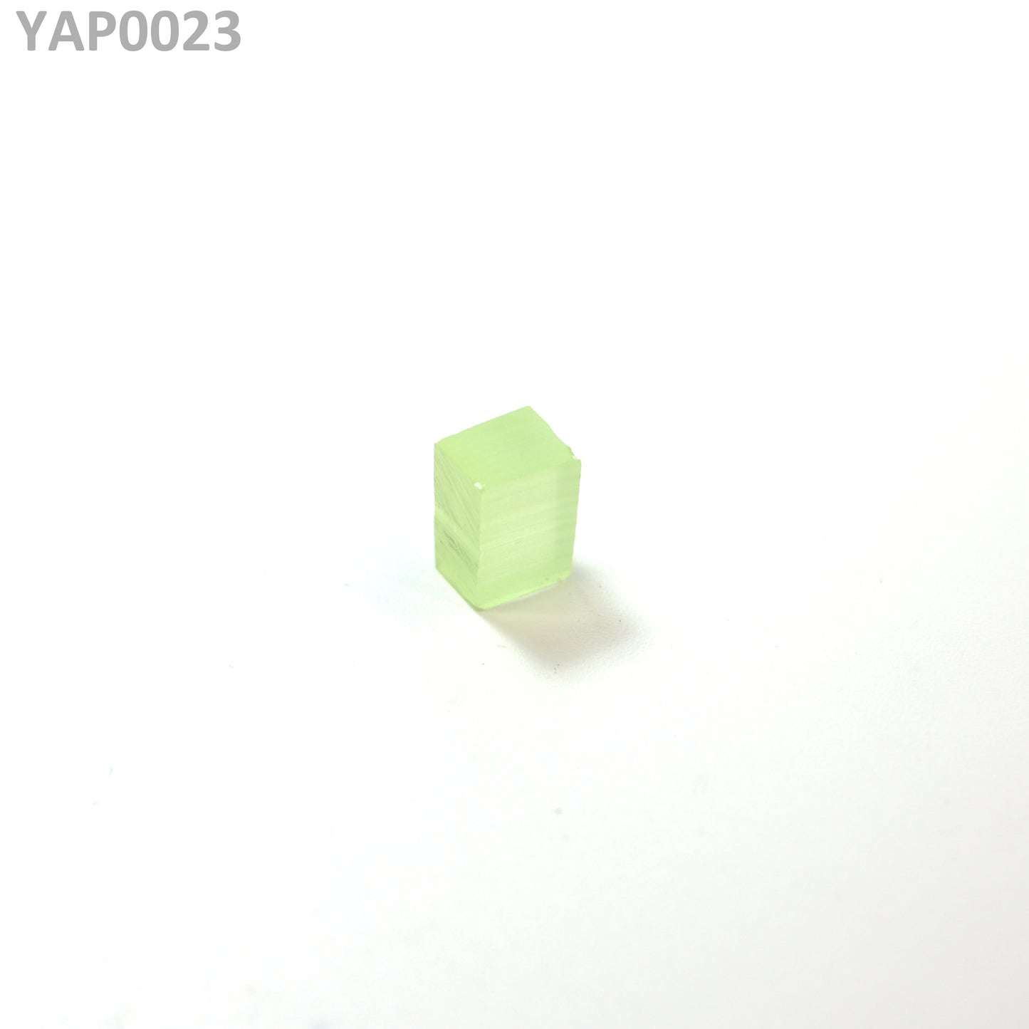 Pr:YAP : YAP0023