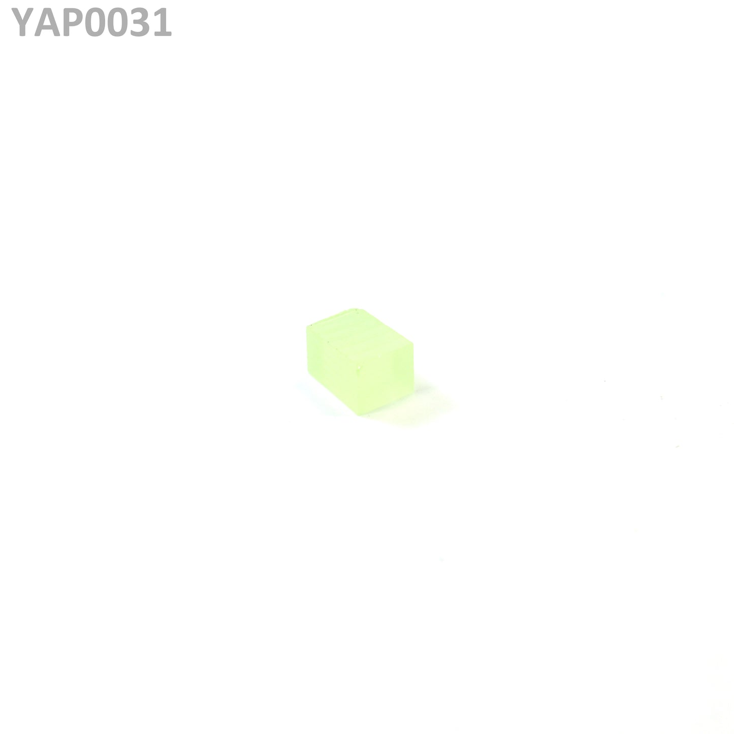 Pr:YAP : YAP0031