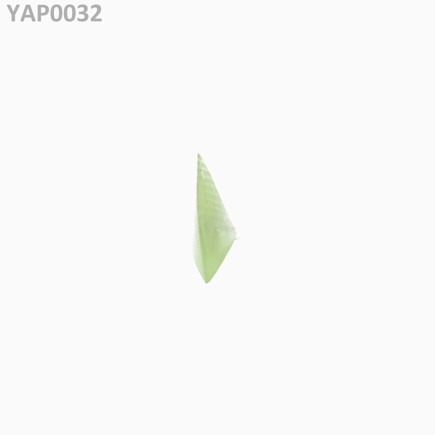 Pr:YAP : YAP0032