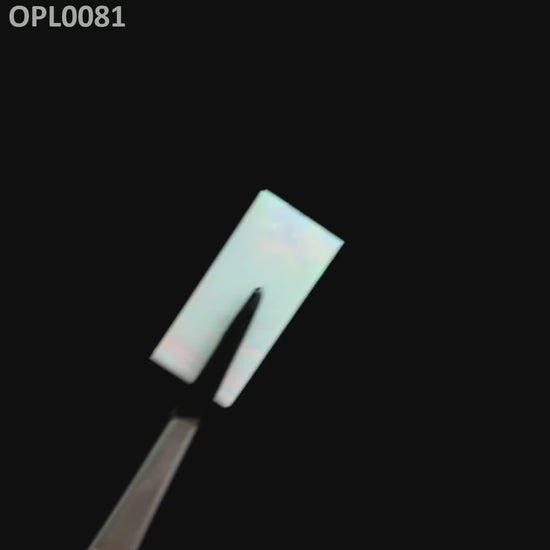 Opal Au Orange Fire/White FD0 : OPL0081