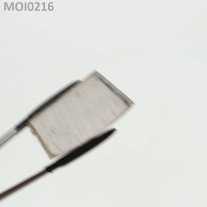 White DEF Moissanite : MOI0216