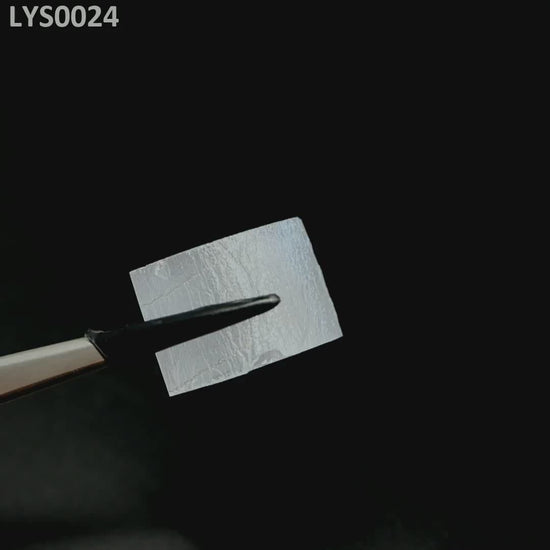 LYSO : LYS0024