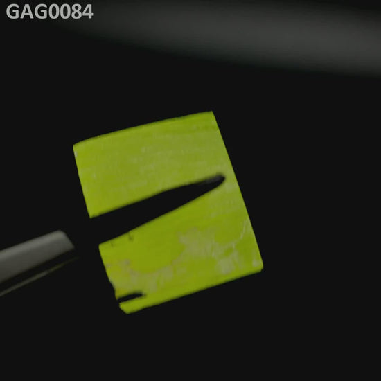 GAGG : GAG0084