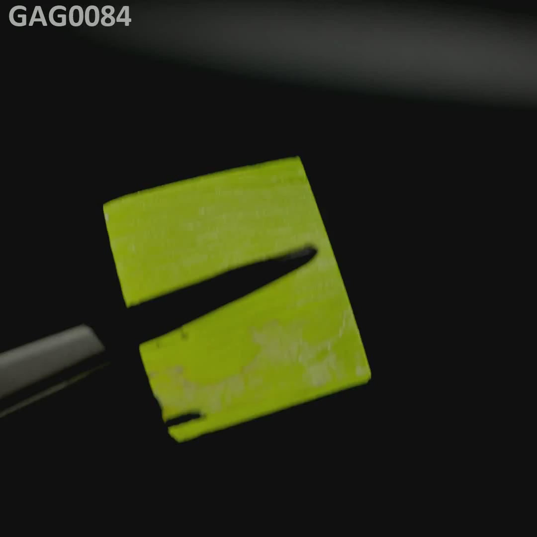 GAGG : GAG0084