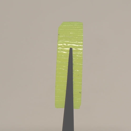 GAGG : GAG0022