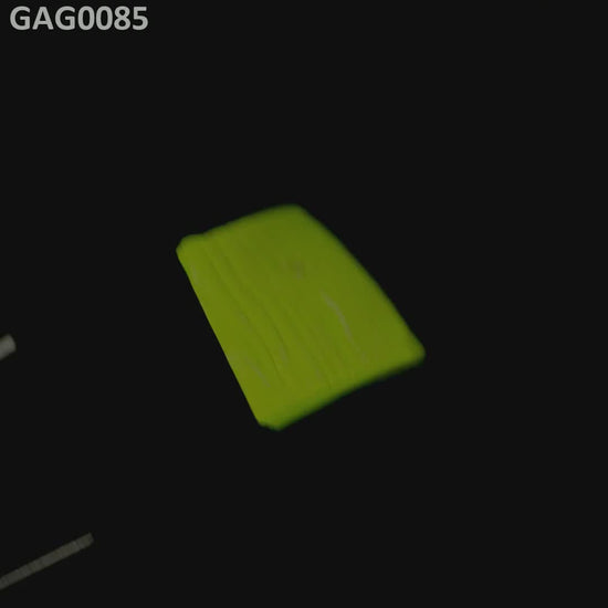 GAGG : GAG0085
