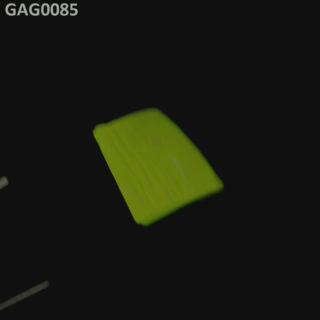 GAGG : GAG0085