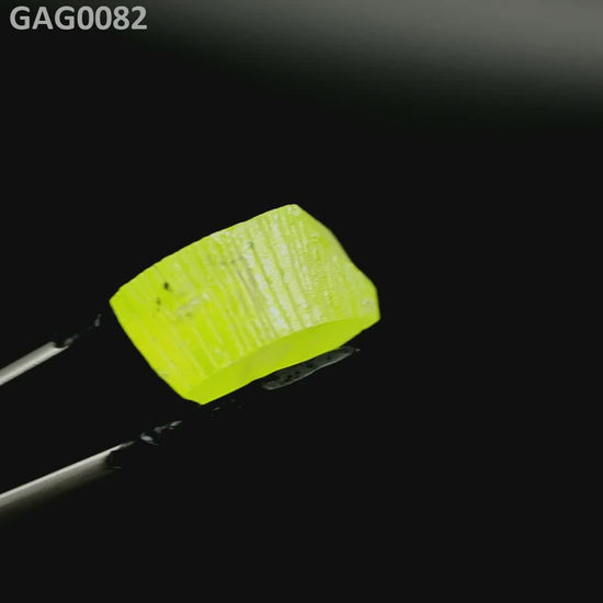 GAGG : GAG0082