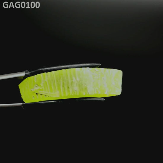 GAGG : GAG0100