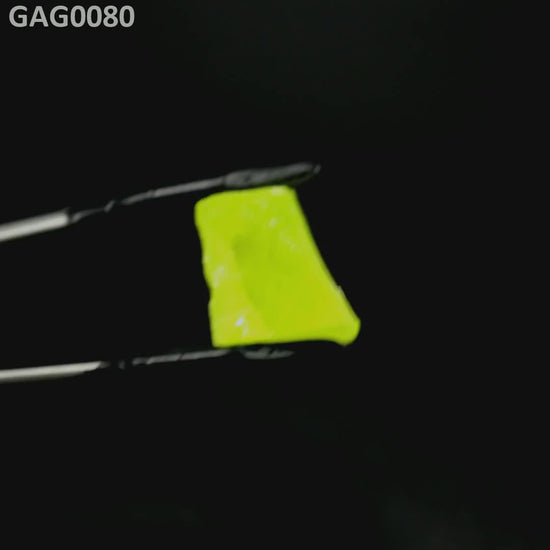 GAGG : GAG0080