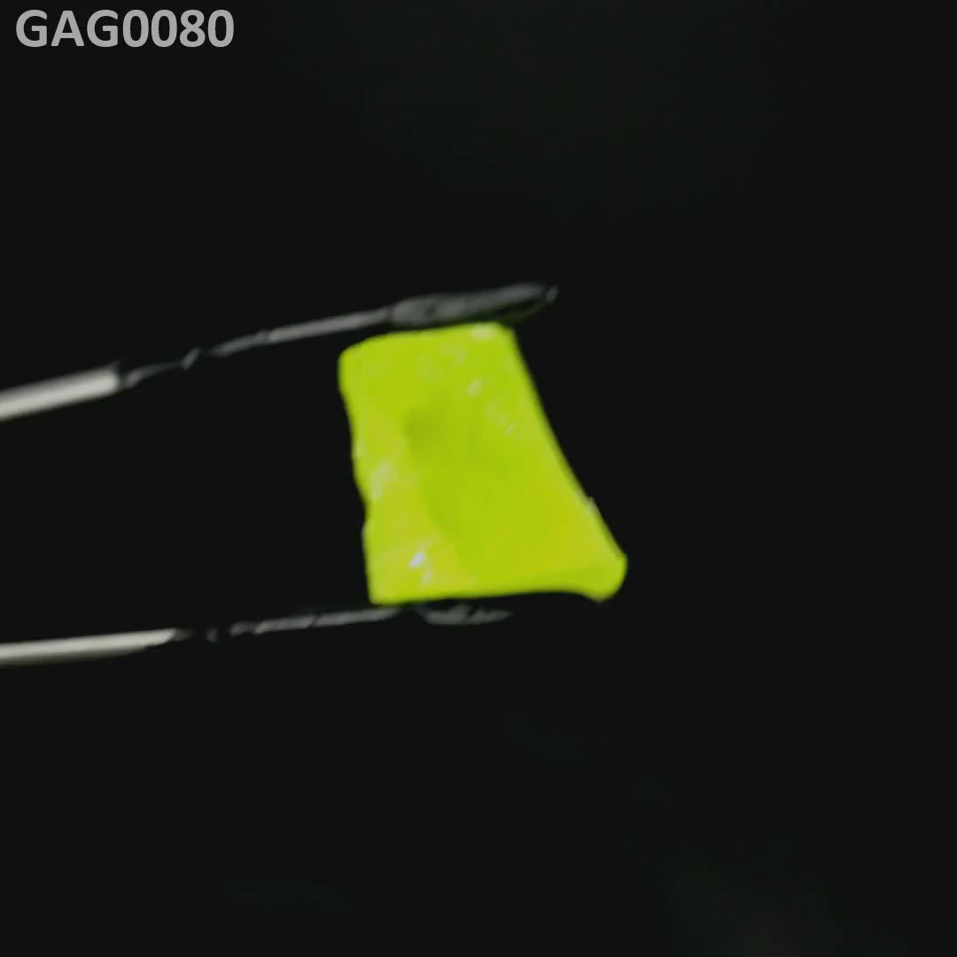 GAGG : GAG0080