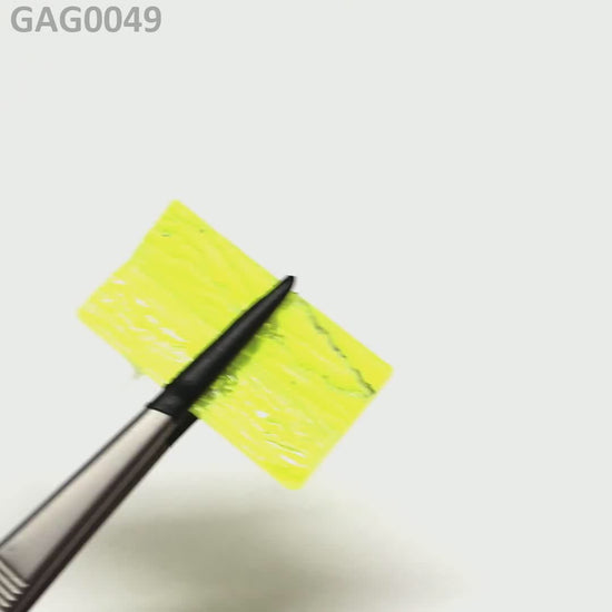 GAGG : GAG0049