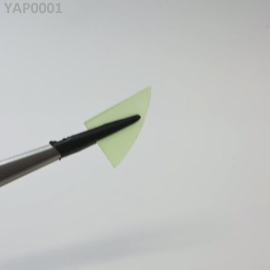 Pr:YAP : YAP0001