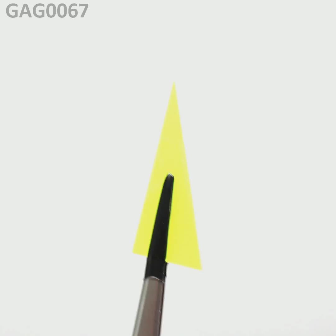 GAGG : GAG0074