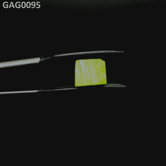 GAGG : GAG0095