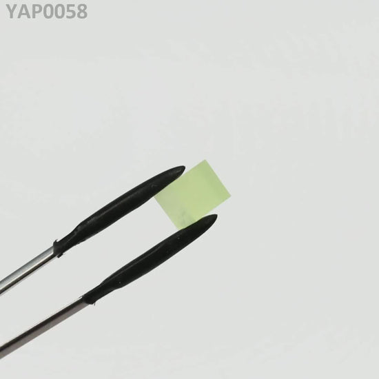 Pr:YAP : YAP0058