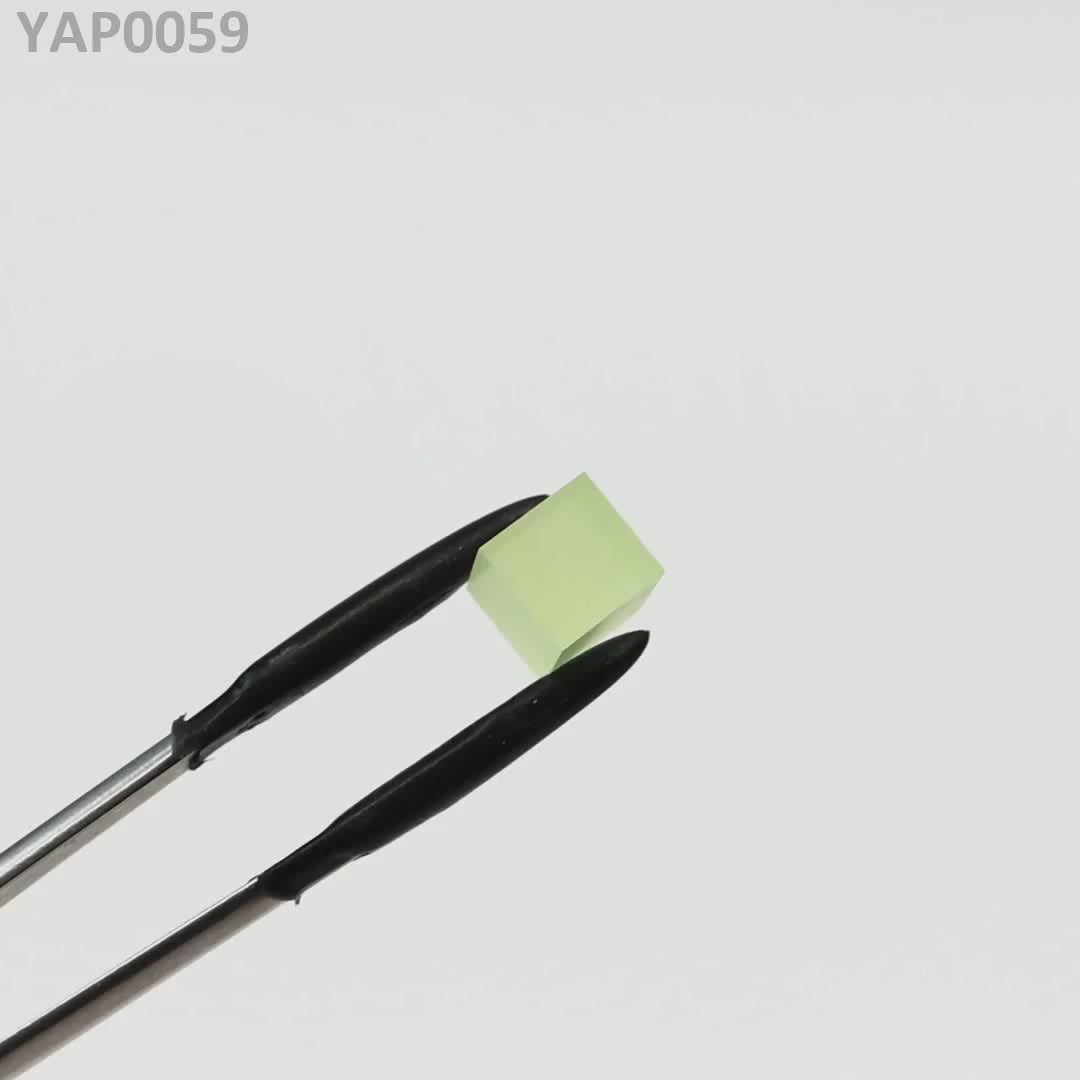 Pr:YAP : YAP0059
