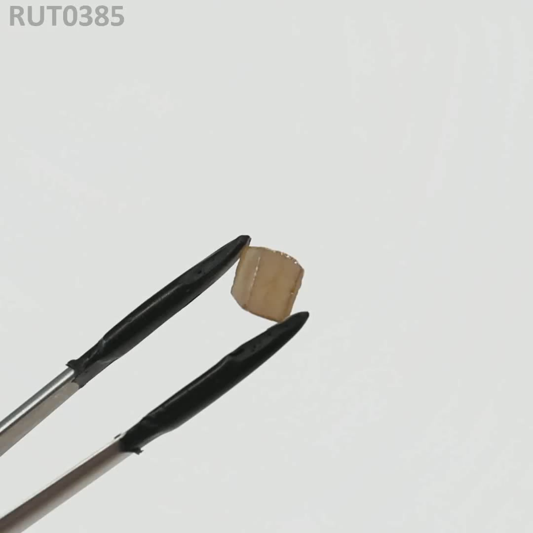 MOC-LightHoney : RUT0385