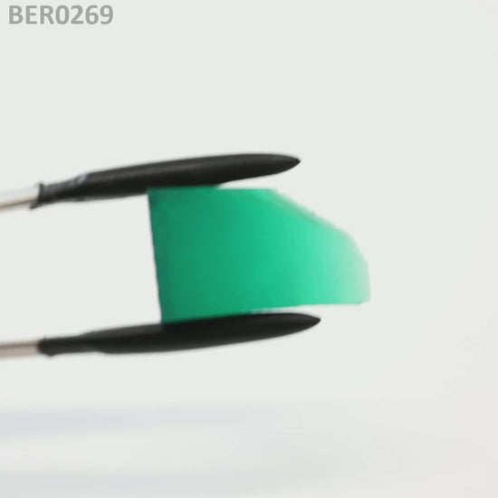 Zambian Emerald : BER0269