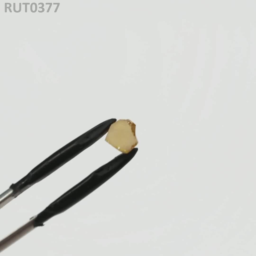 MOC-LightHoney : RUT0377