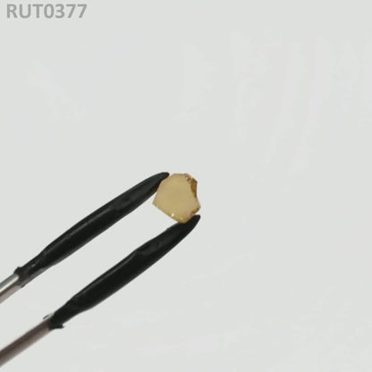 MOC-LightHoney : RUT0377