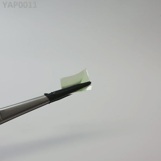 Pr:YAP : YAP0011