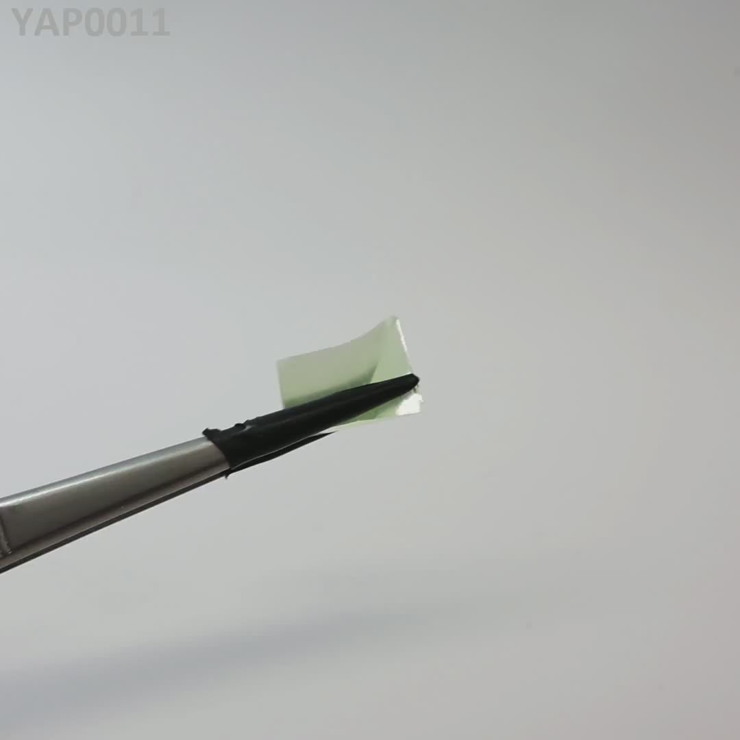Pr:YAP : YAP0011