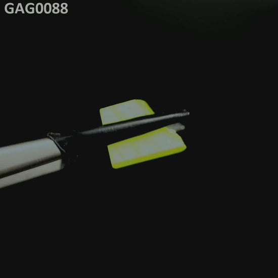 GAGG : GAG0088