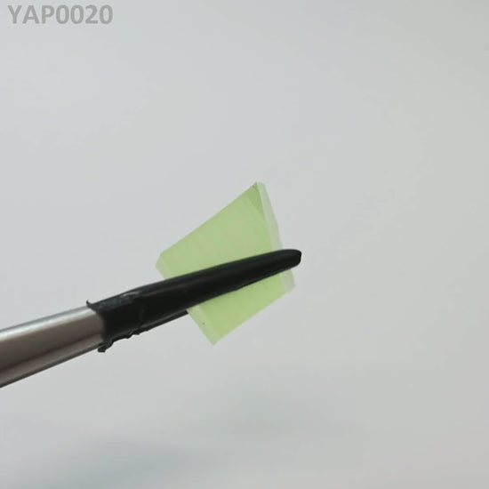 Pr:YAP : YAP0020