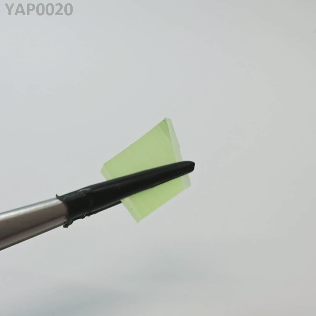 Pr:YAP : YAP0020