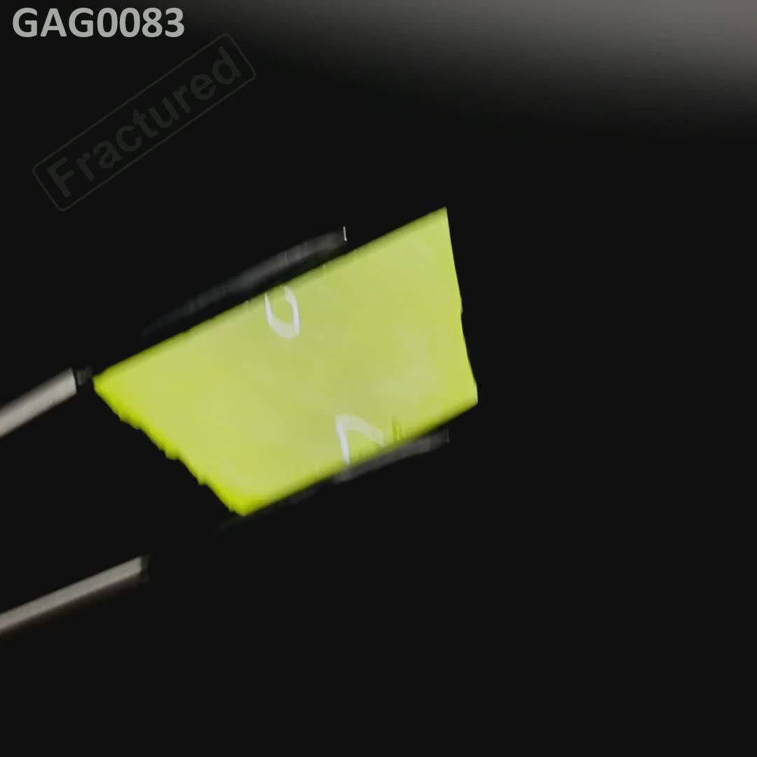 GAGG : GAG0083