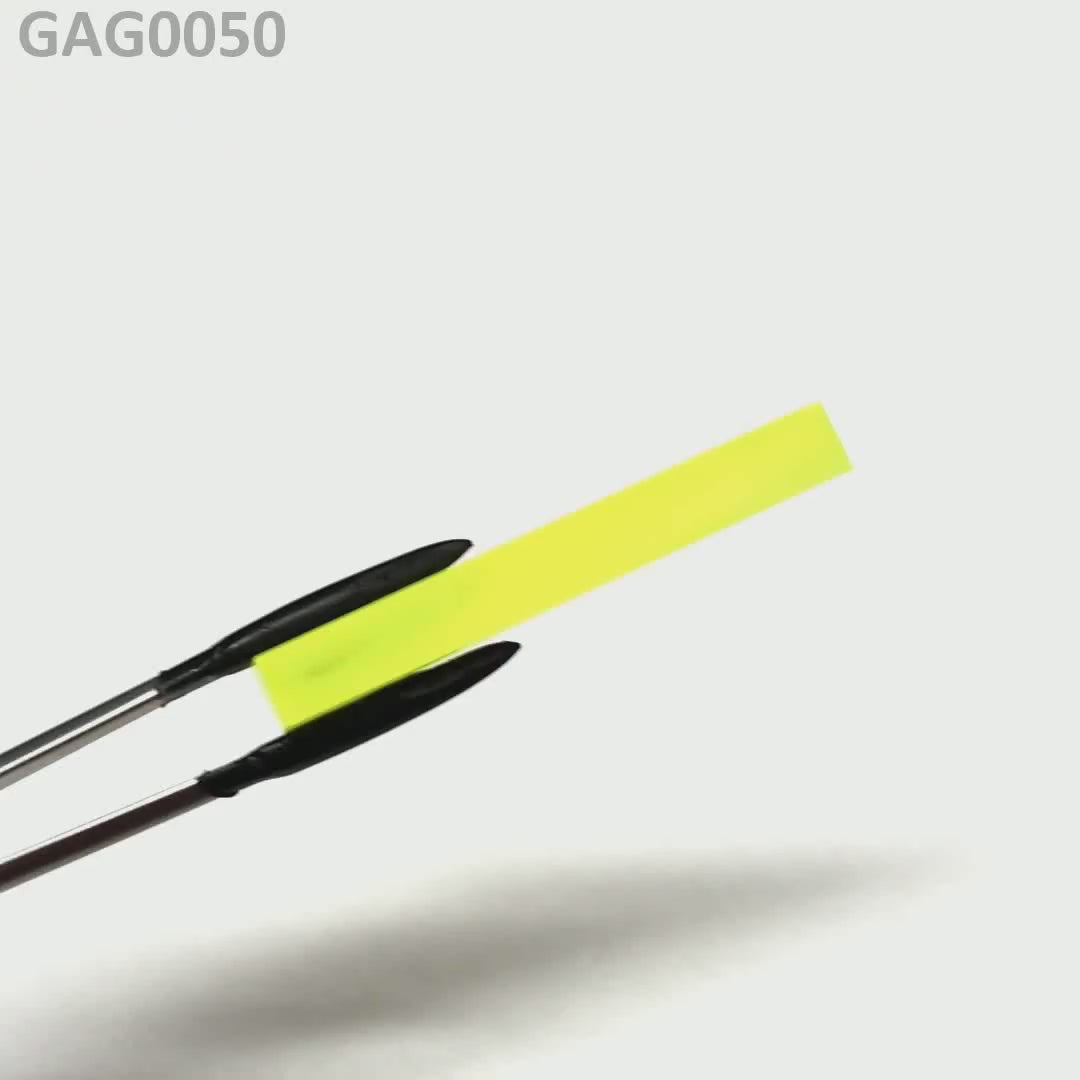GAGG : GAG0050