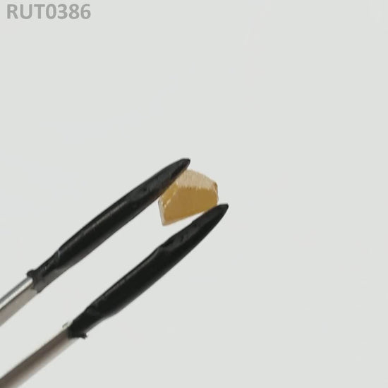 MOC-LightHoney : RUT0386