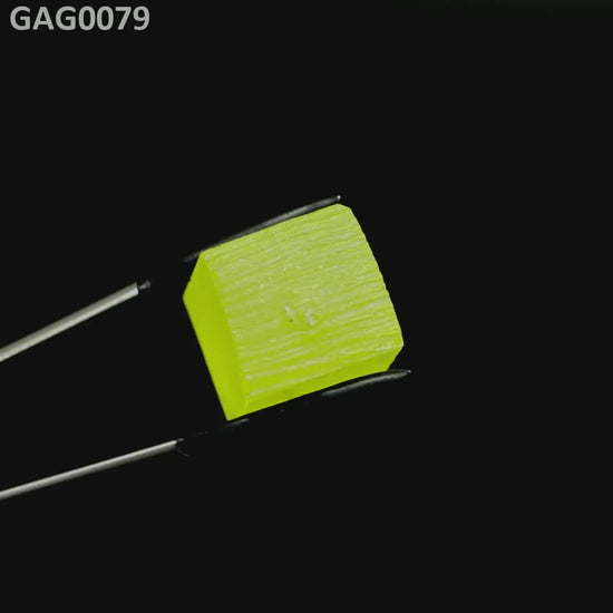 GAGG : GAG0079