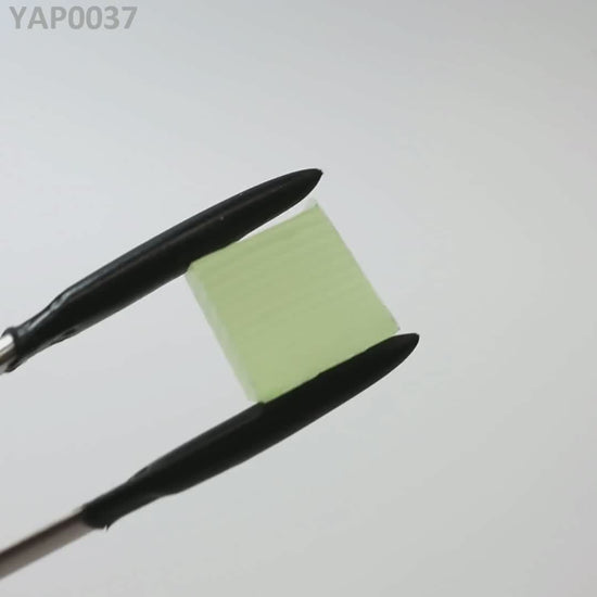 Pr:YAP : YAP0037