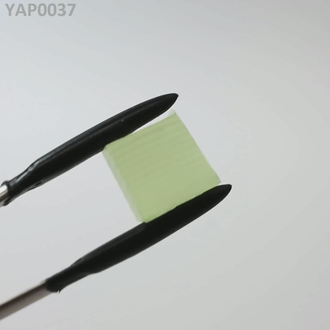 Pr:YAP : YAP0037