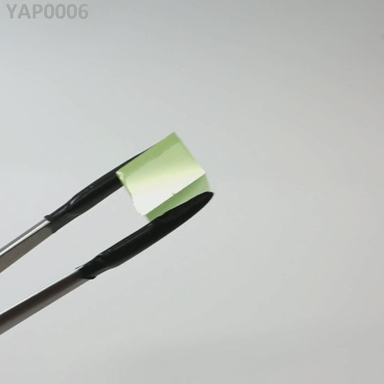Pr:YAP : YAP0006
