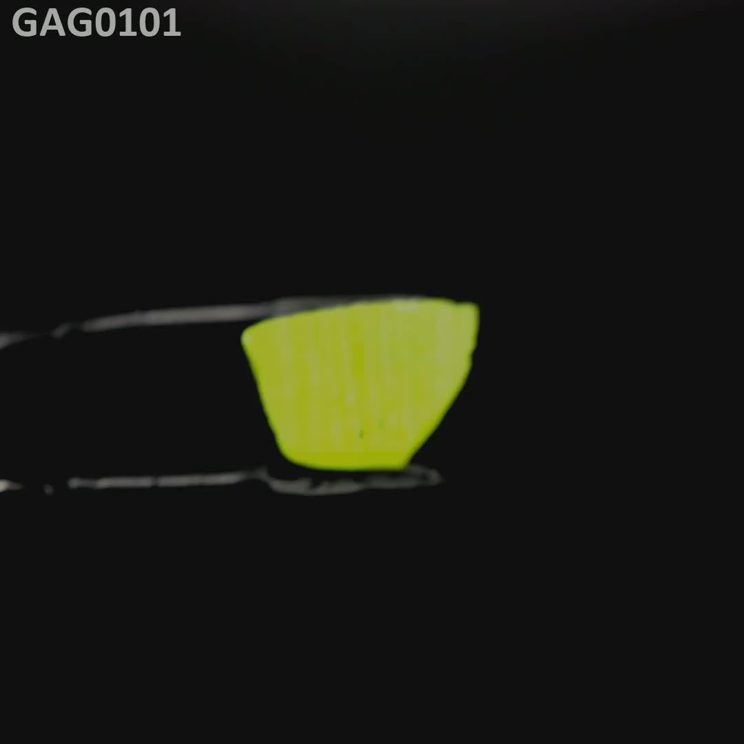 GAGG : GAG0101