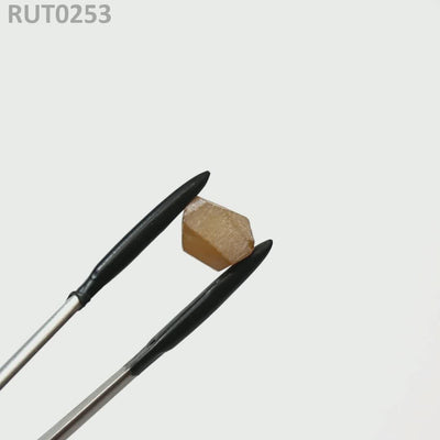 Orange Rutile : RUT0253