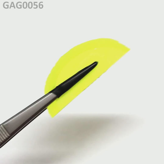 GAGG : GAG0056