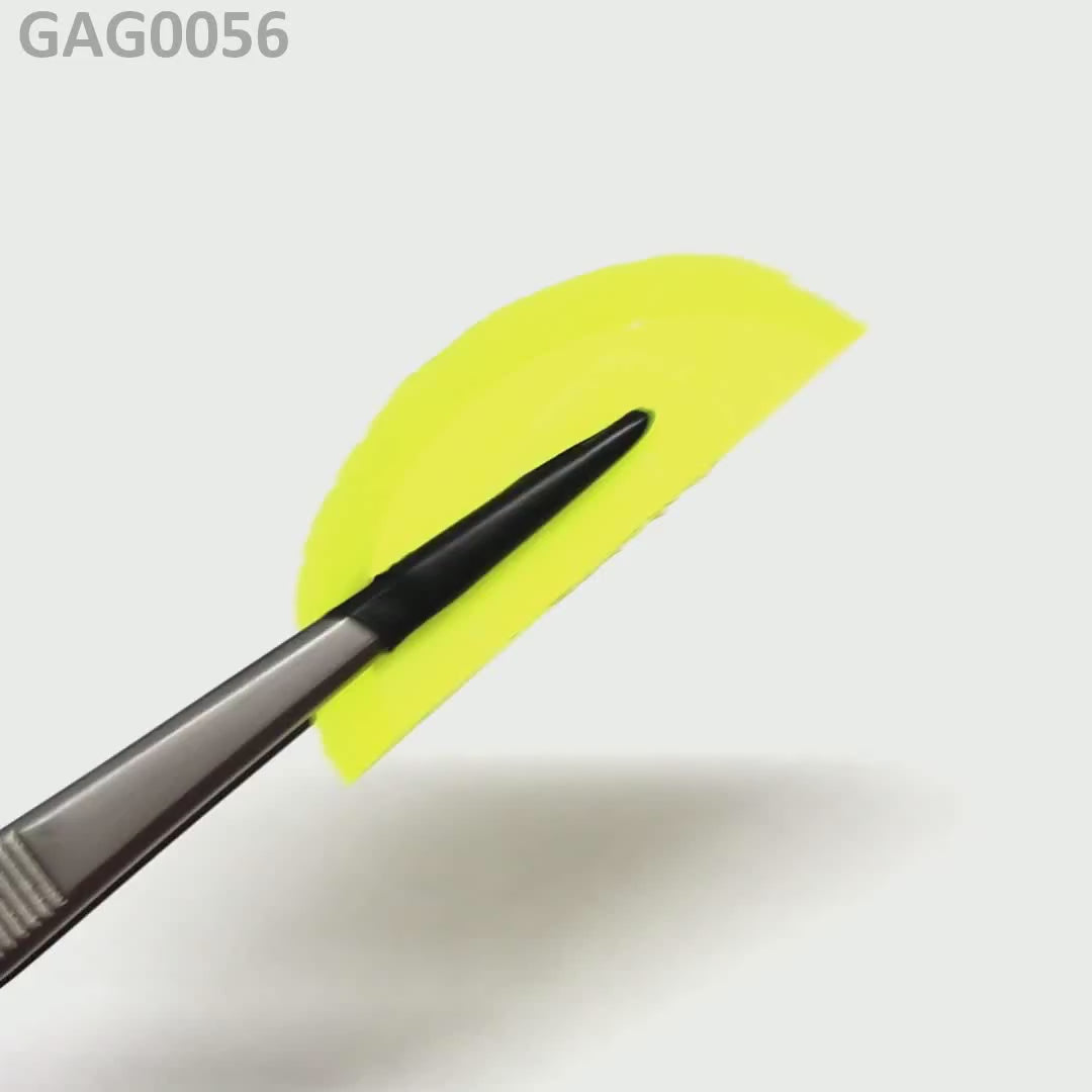 GAGG : GAG0056