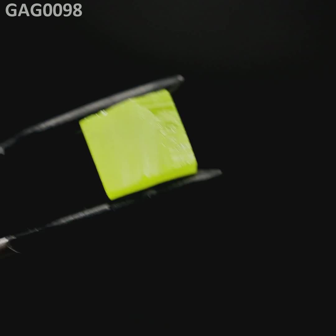 GAGG : GAG0098