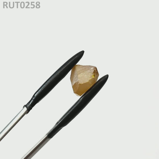 Orange Rutile : RUT0258