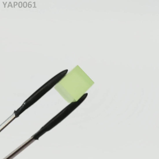 Pr:YAP : YAP0061