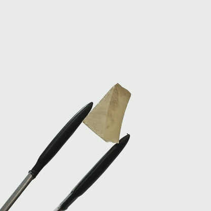 Champagne Moissanite - Grade A - Faceting Rough