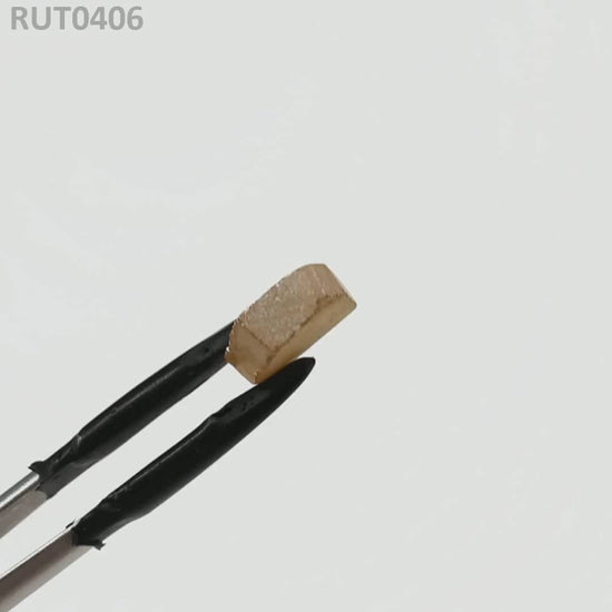 MOC-LightHoney : RUT0406
