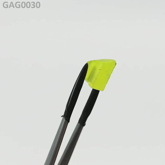 GAGG : GAG0030