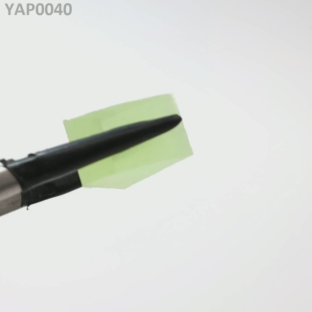 Pr:YAP : YAP0040