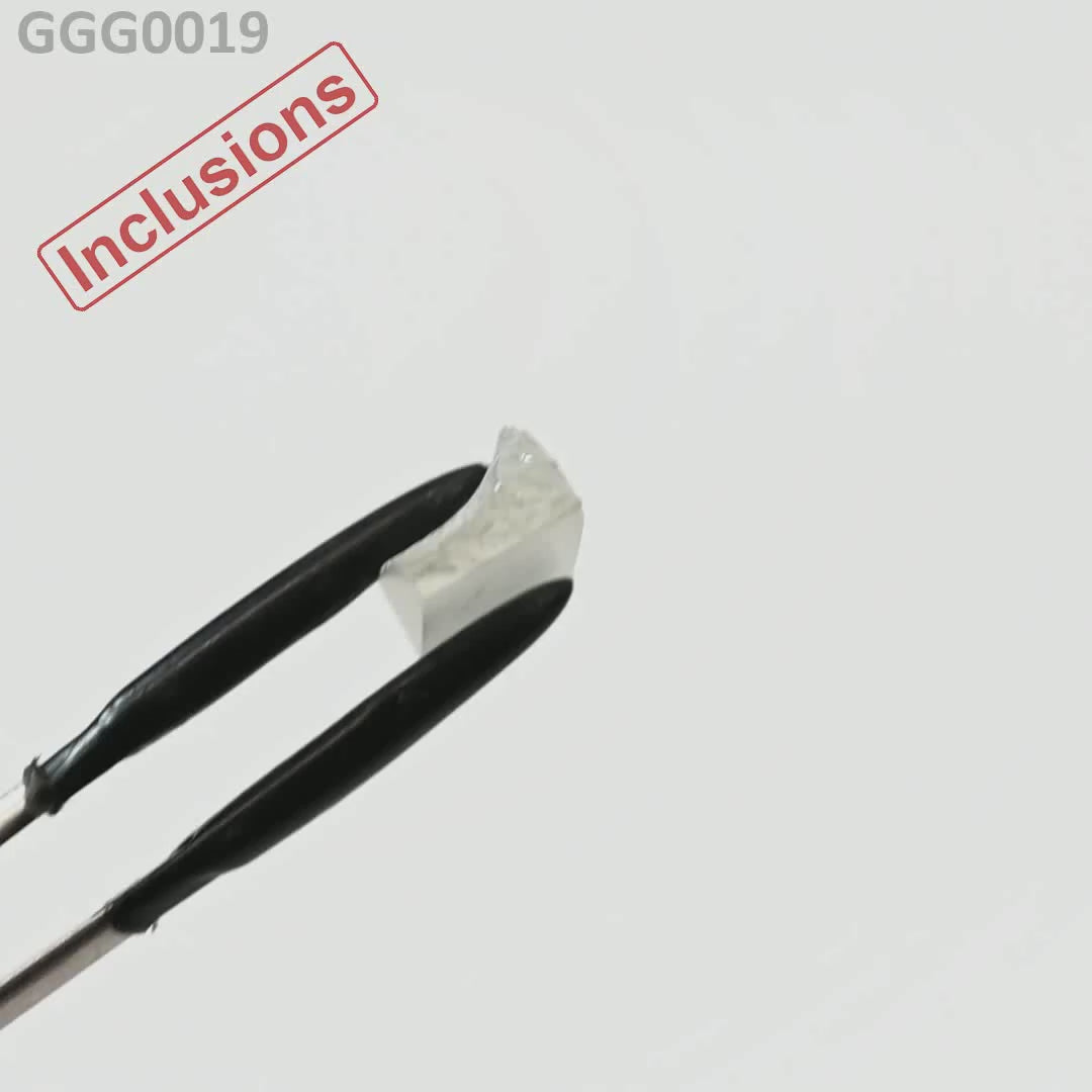 GGG : GGG0019