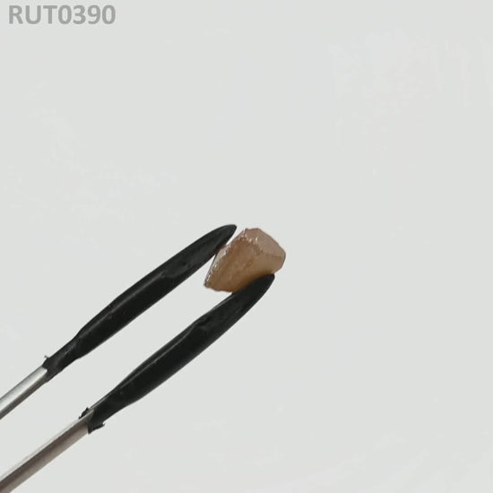 MOC-LightHoney : RUT0390